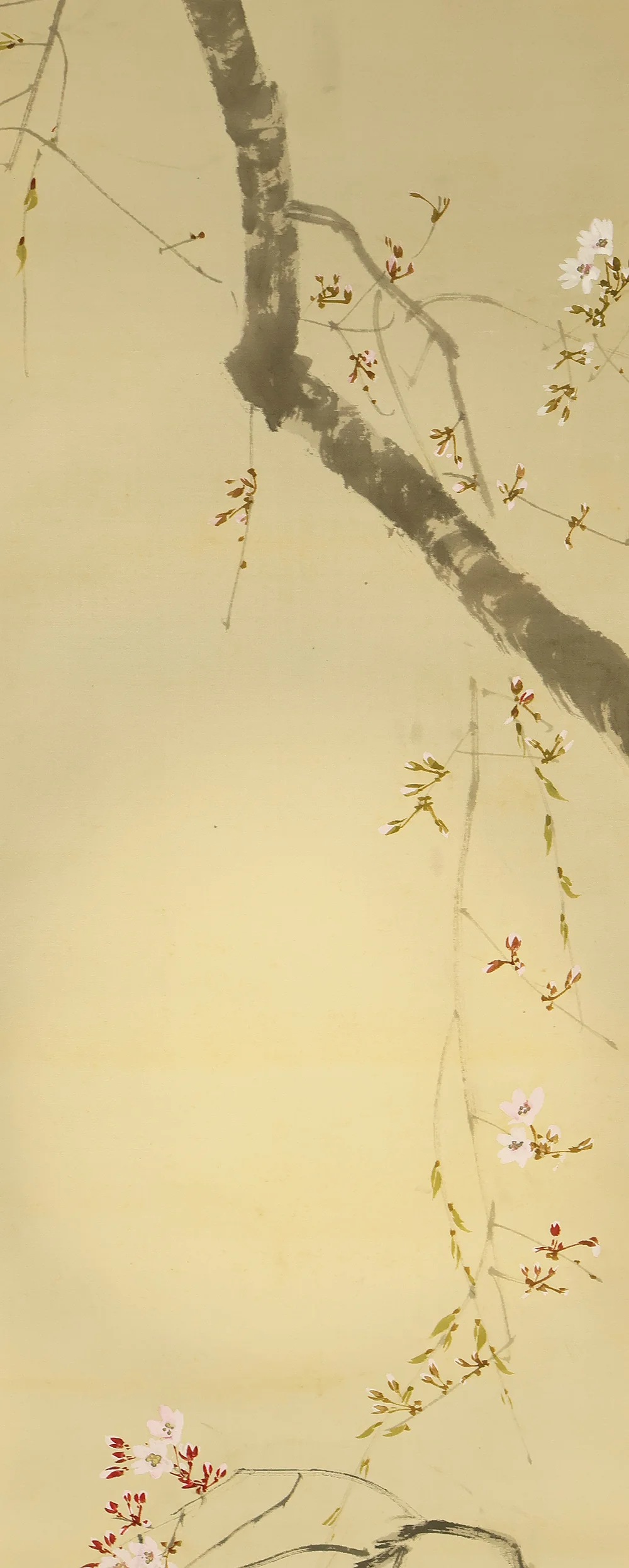今井景樹 Imai Keiju (1891-1967) Japanese art kakejiku kakemono wall hanging scroll / Hazy Moon and Weeping Cherry Blossoms with Box RD925 - Image 4