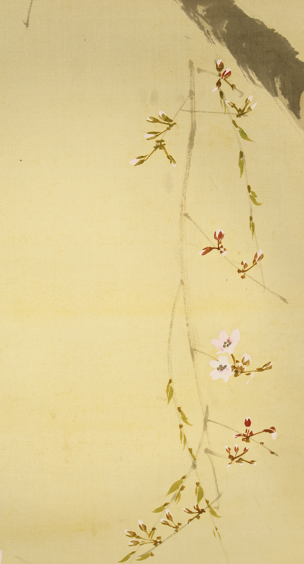 今井景樹 Imai Keiju (1891-1967) Japanese art kakejiku kakemono wall hanging scroll / Hazy Moon and Weeping Cherry Blossoms with Box RD925 - Image 7