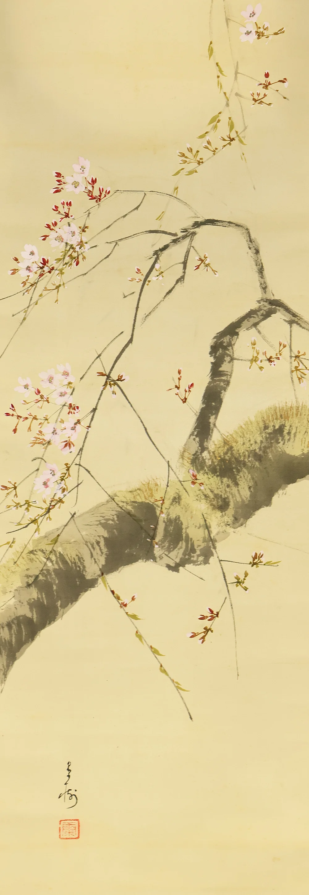 今井景樹 Imai Keiju (1891-1967) Japanese art kakejiku kakemono wall hanging scroll / Hazy Moon and Weeping Cherry Blossoms with Box RD925 - Image 8