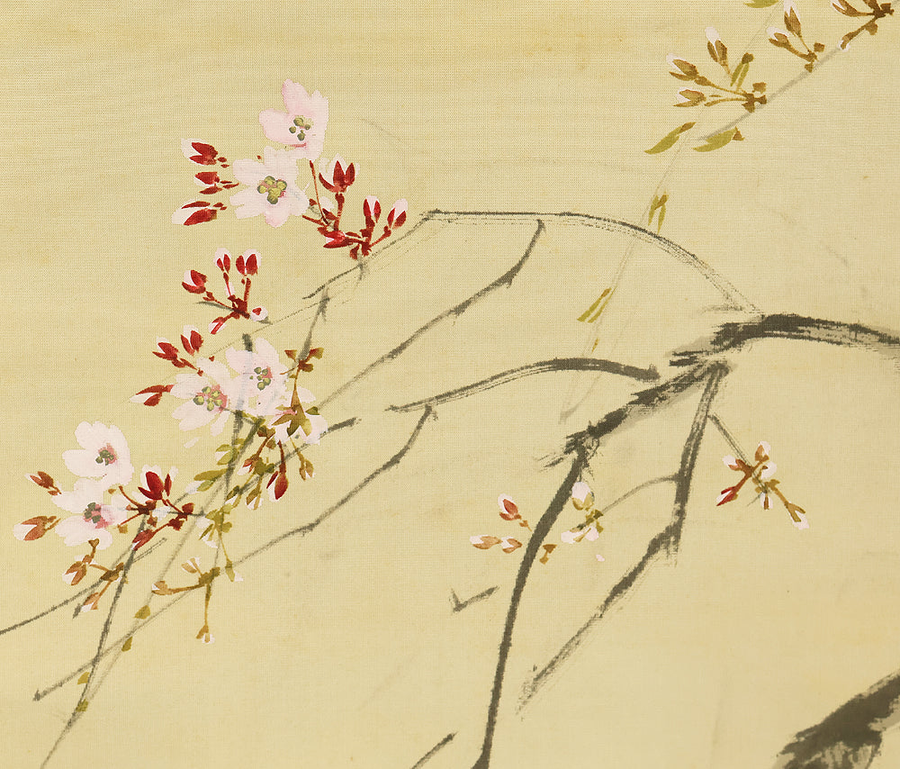 今井景樹 Imai Keiju (1891-1967) Japanese art kakejiku kakemono wall hanging scroll / Hazy Moon and Weeping Cherry Blossoms with Box RD925 - Image 9