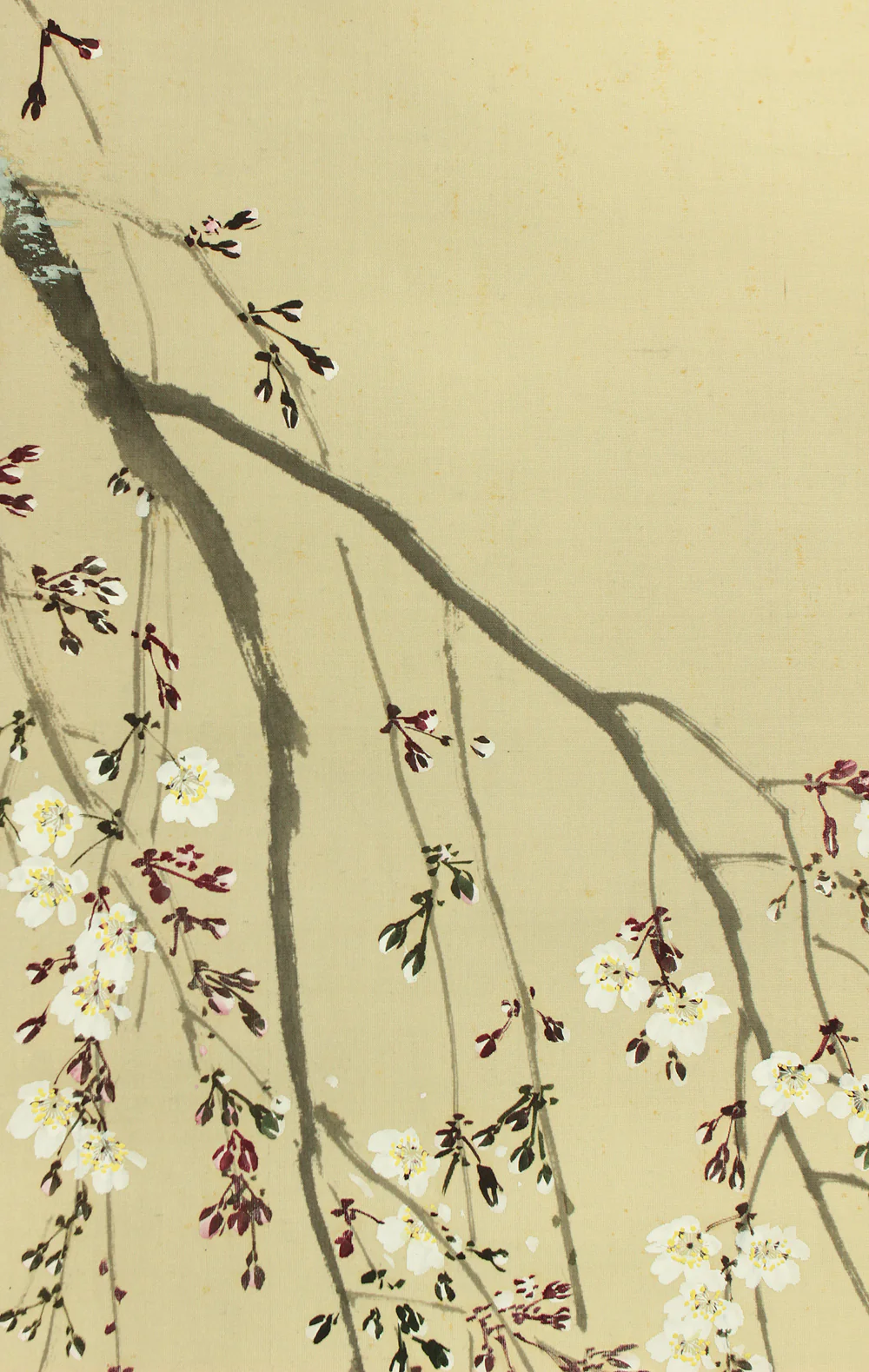 今井景樹 Imai Keiju (1891-1967) Japanese art kakejiku kakemono wall hanging scroll / Hazy Moon and Weeping Cherry Blossoms with Original Box (Tomobako) RD242 - Image 10