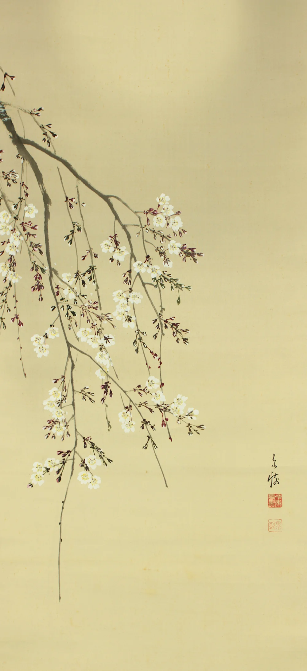 今井景樹 Imai Keiju (1891-1967) Japanese art kakejiku kakemono wall hanging scroll / Hazy Moon and Weeping Cherry Blossoms with Original Box (Tomobako) RD242 - Image 9
