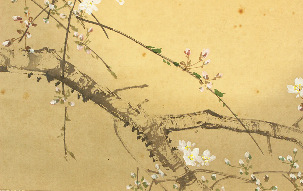今井景樹 Imai Keiju (1891-1967) Japanese art kakejiku kakemono wall hanging scroll / Hazy Moon, Cherry Blossoms at Beginning of Bloom with Original Box (Tomobako) RC964 - Image 11