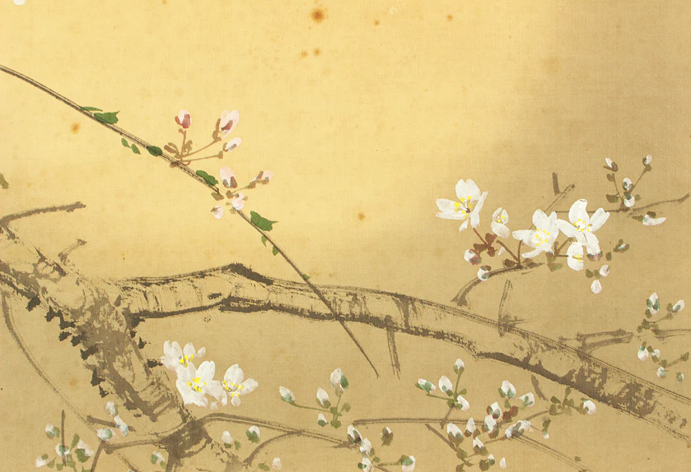 今井景樹 Imai Keiju (1891-1967) Japanese art kakejiku kakemono wall hanging scroll / Hazy Moon, Cherry Blossoms at Beginning of Bloom with Original Box (Tomobako) RC964 - Image 12