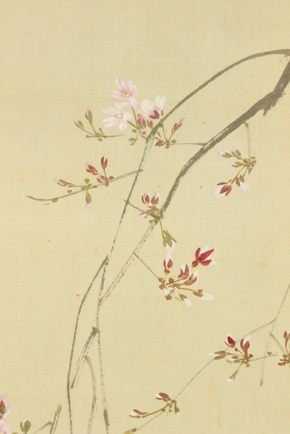 今井景樹 Imai Keiju (1891-1967) Japanese art kakejiku kakemono wall hanging scroll / Hazy Moon, Weeping Cherry Blossom with Original Box (Tomobako) RC965 - Image 8