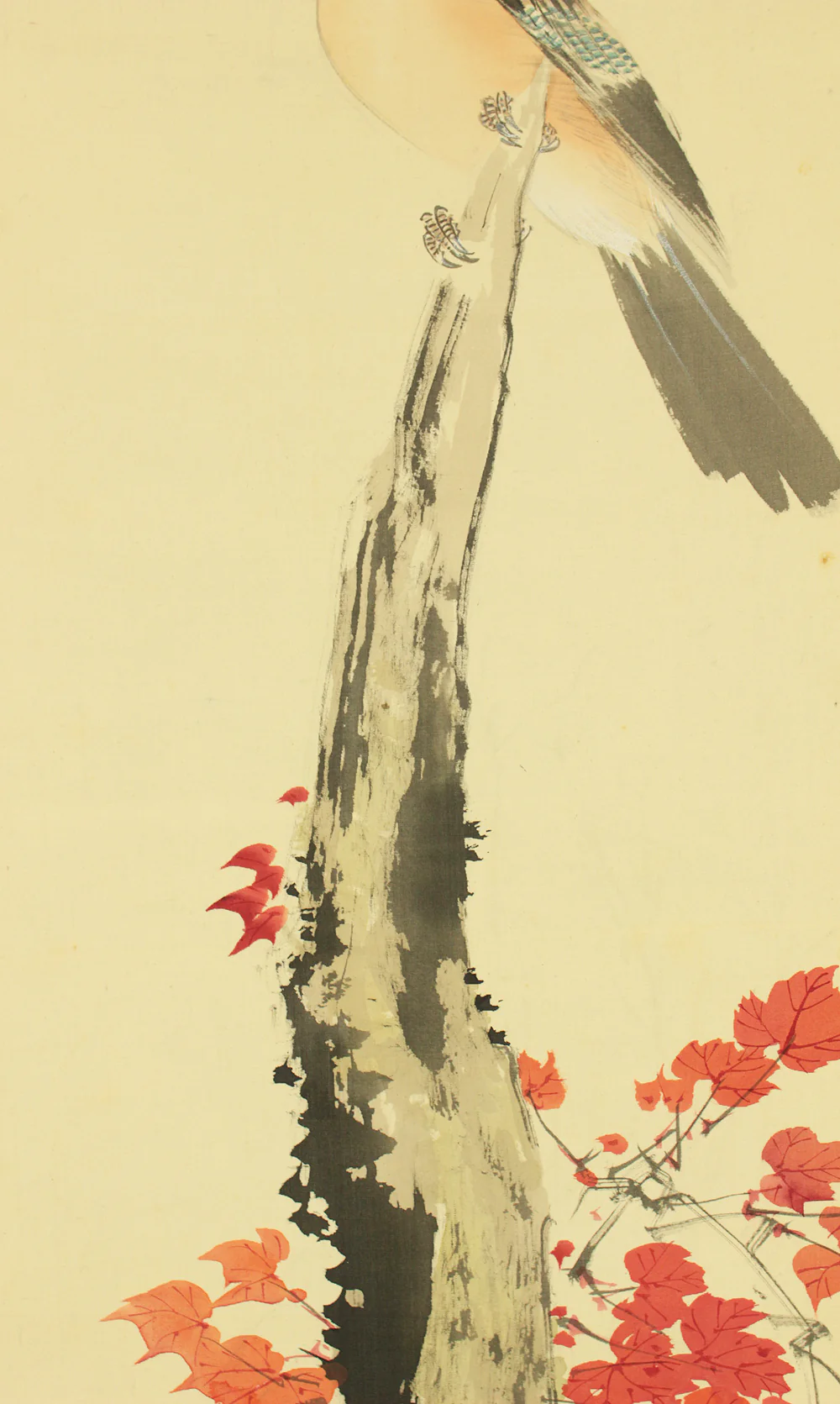 今井景樹 Imai Keiju (1891-1967) Japanese art kakejiku kakemono wall hanging scroll / Mountain Bird and Autumn Leaves with Original Box (Tomobako) RD613 - Image 11
