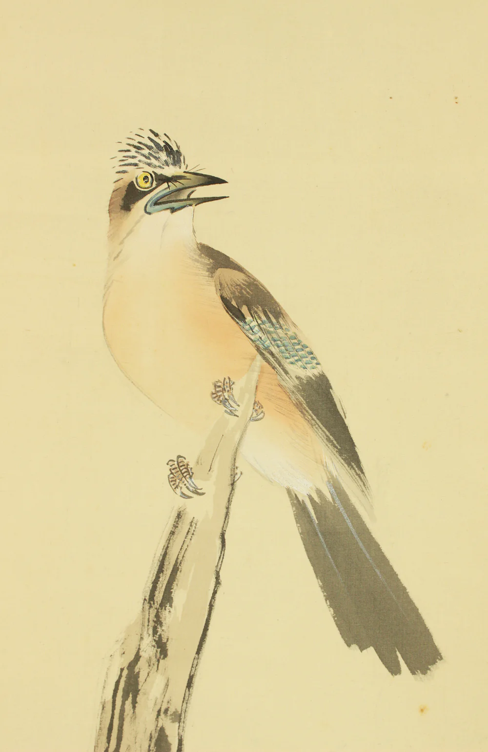 今井景樹 Imai Keiju (1891-1967) Japanese art kakejiku kakemono wall hanging scroll / Mountain Bird and Autumn Leaves with Original Box (Tomobako) RD613 - Image 6