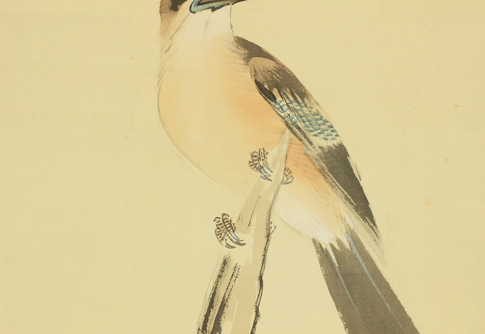 今井景樹 Imai Keiju (1891-1967) Japanese art kakejiku kakemono wall hanging scroll / Mountain Bird and Autumn Leaves with Original Box (Tomobako) RD613 - Image 8