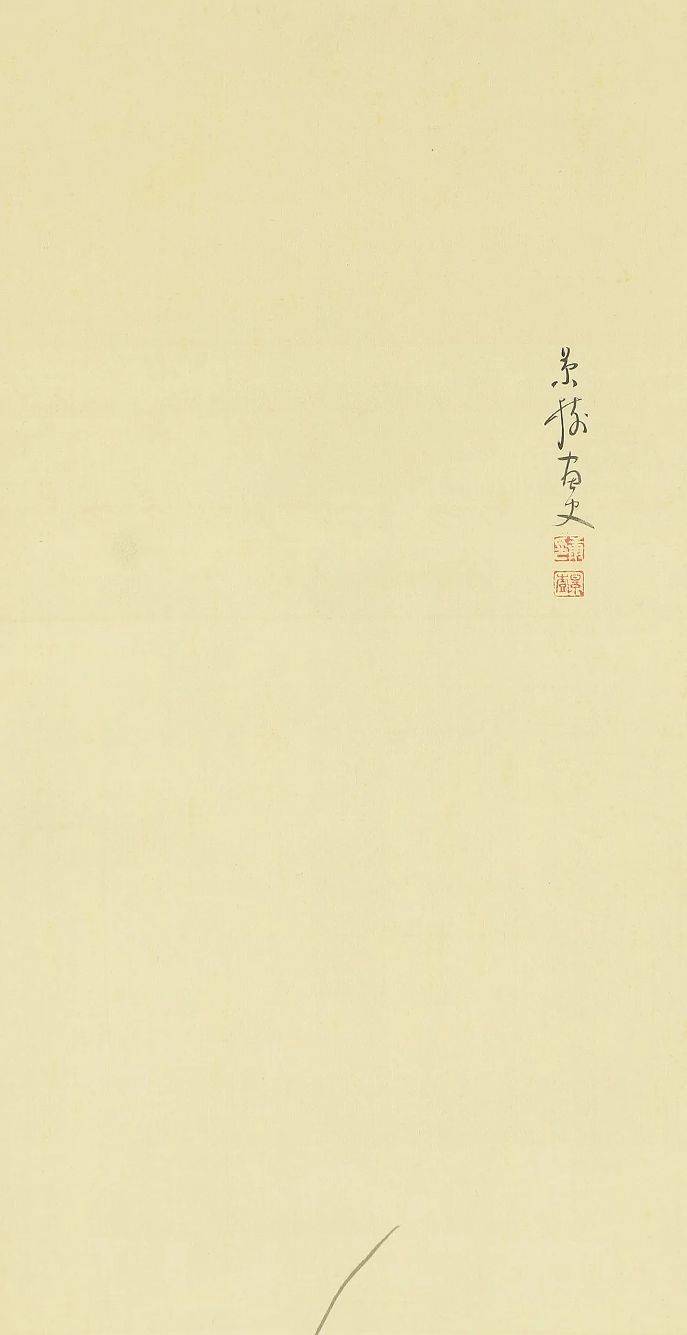 今井景樹 Imai Keiju (1891-1967) Japanese art kakejiku kakemono wall hanging scroll / Old Raccoon Dog and Chrysanthemum with Original Box (Tomobako) RB115 - Image 5