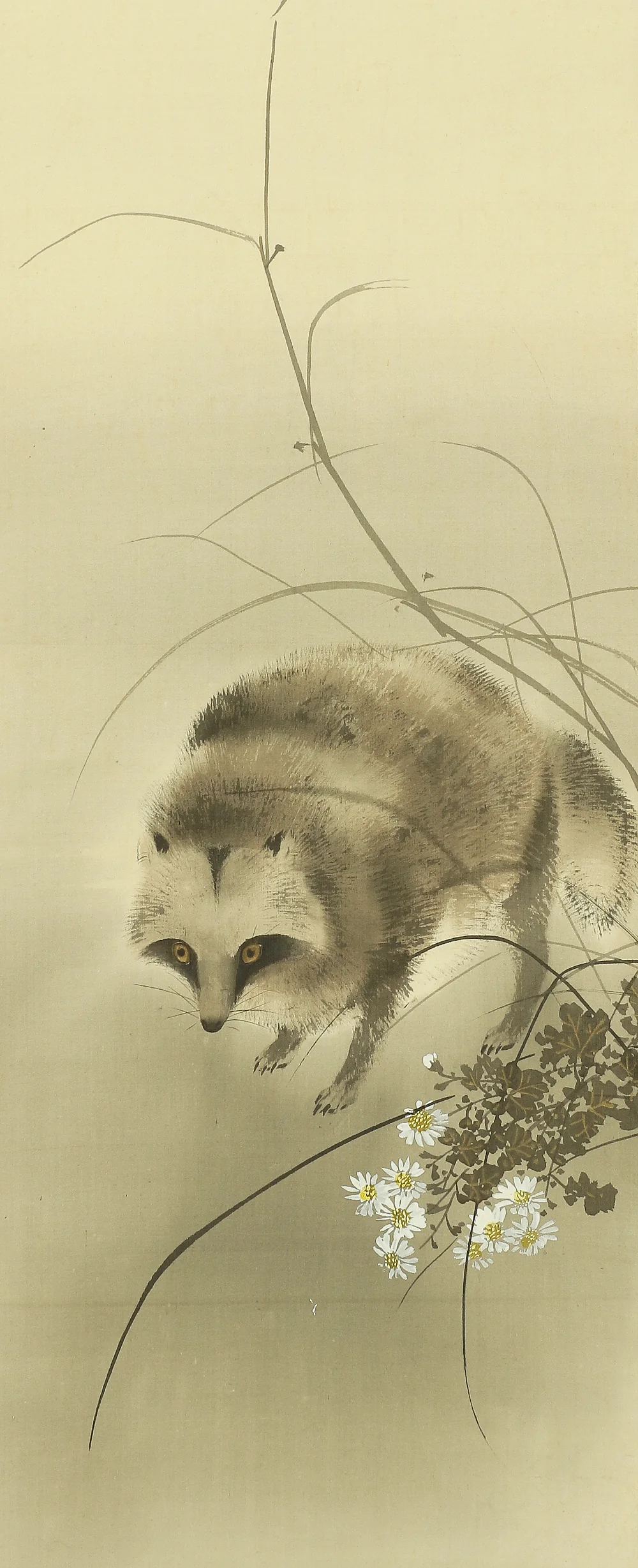 今井景樹 Imai Keiju (1891-1967) Japanese art kakejiku kakemono wall hanging scroll / Old Raccoon Dog and Chrysanthemum with Original Box (Tomobako) RB115 - Image 7