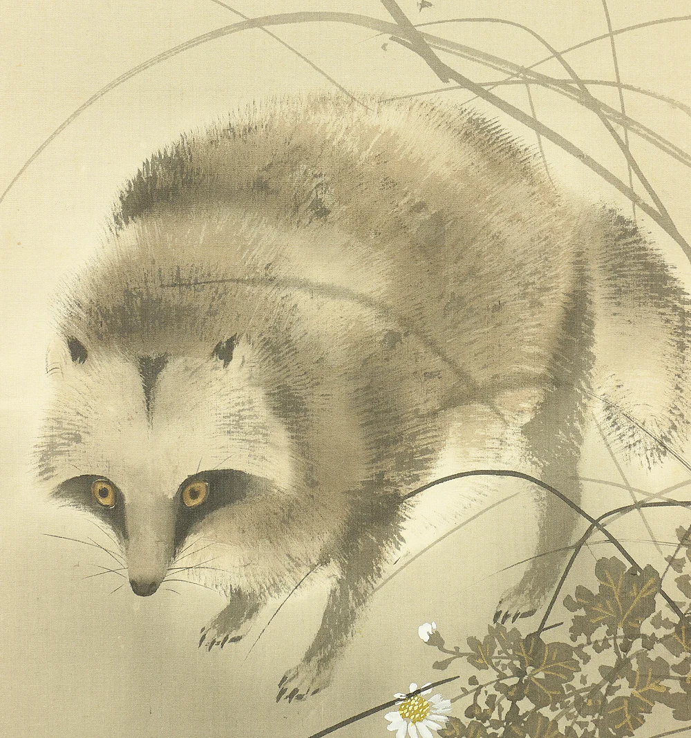 今井景樹 Imai Keiju (1891-1967) Japanese art kakejiku kakemono wall hanging scroll / Old Raccoon Dog and Chrysanthemum with Original Box (Tomobako) RB115 - Image 8