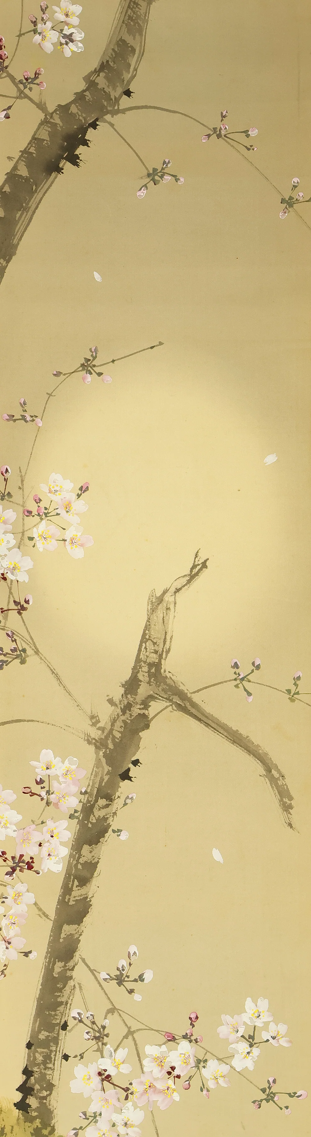 今井景樹 Imai Keiju (1891-1967) Japanese art kakejiku kakemono wall hanging scroll / Weeping Cherry Blossoms and Hazy Moon with Original Box (Tomobako) RE946 - Image 4