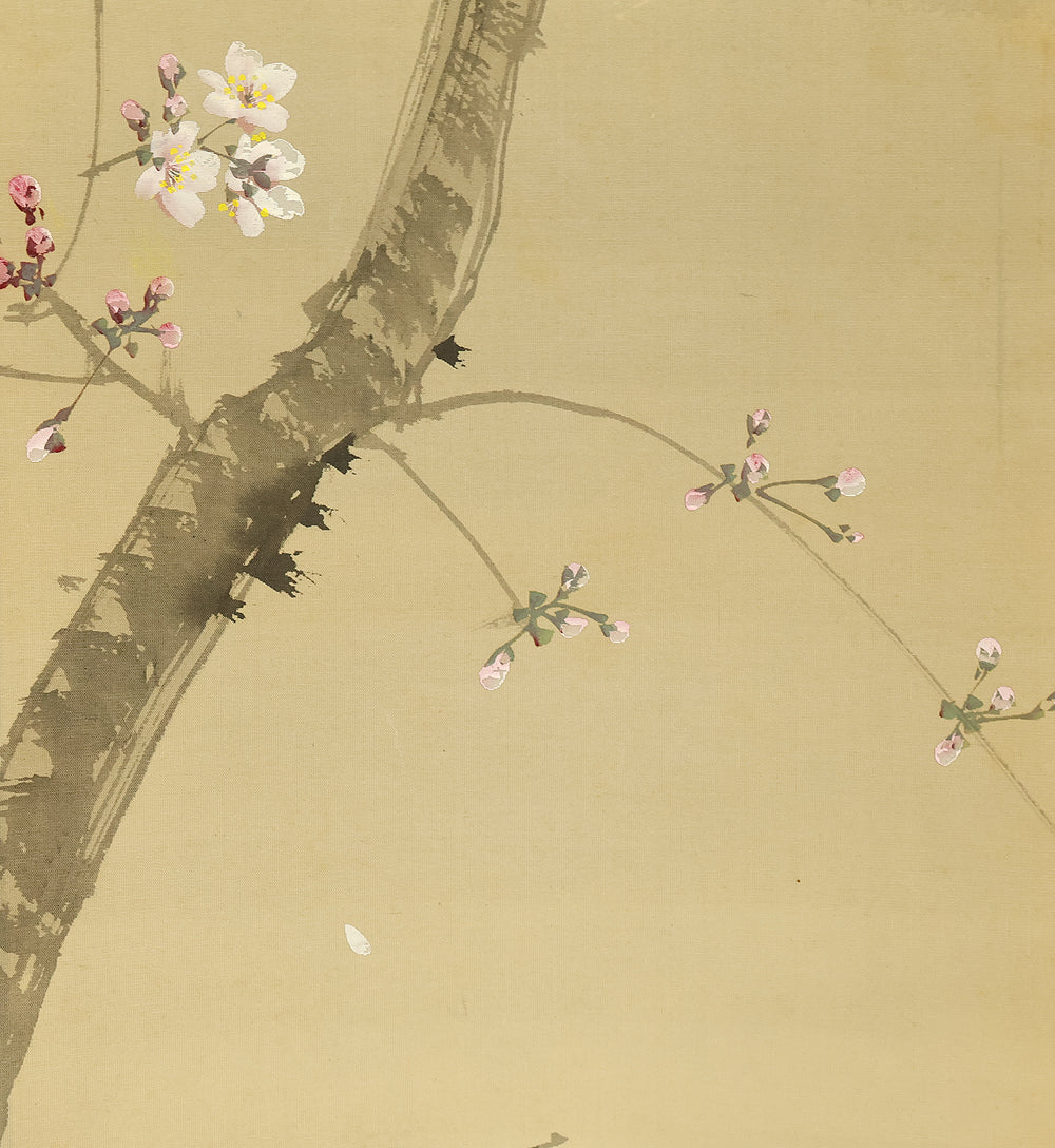 今井景樹 Imai Keiju (1891-1967) Japanese art kakejiku kakemono wall hanging scroll / Weeping Cherry Blossoms and Hazy Moon with Original Box (Tomobako) RE946 - Image 5