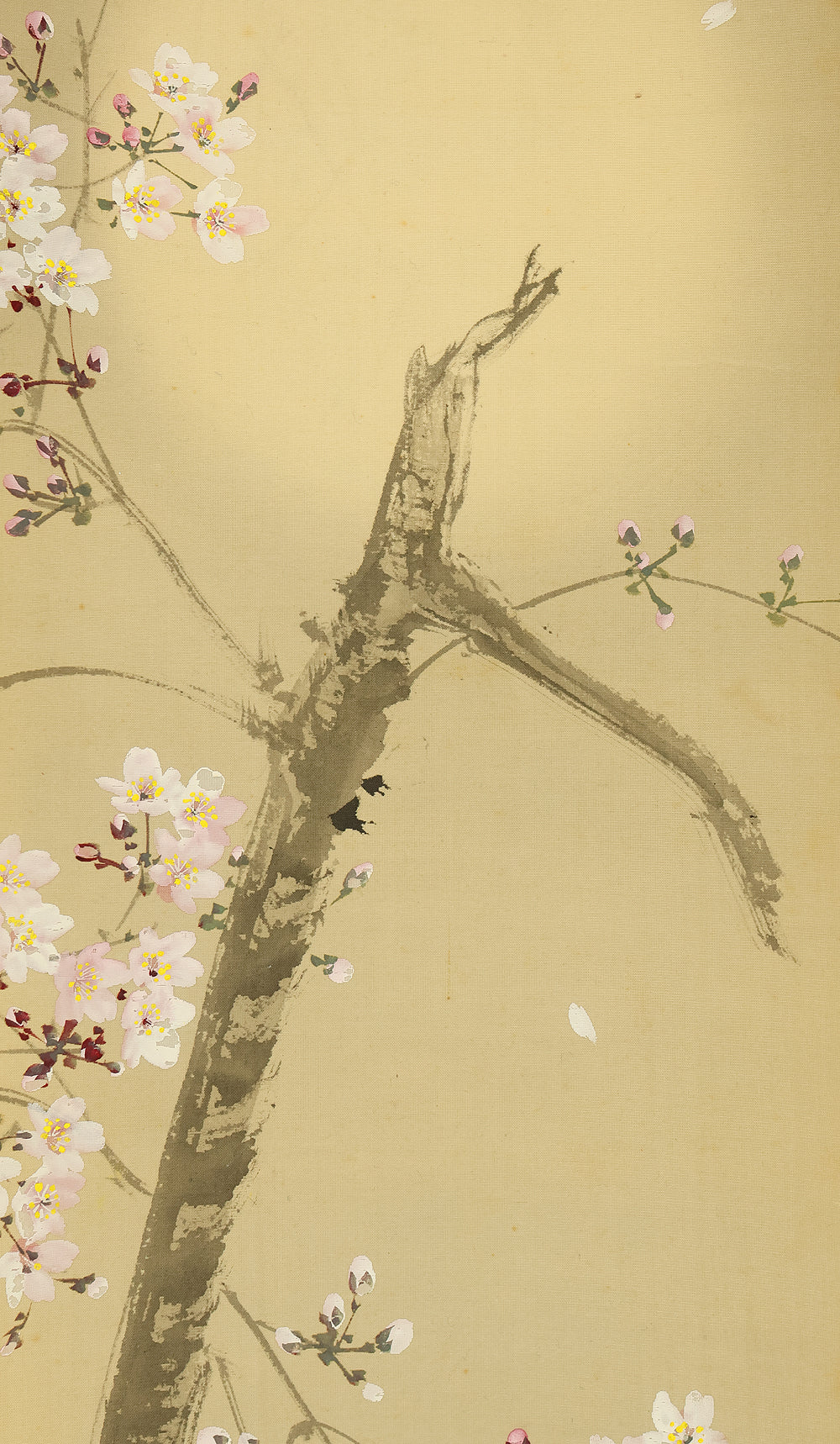 今井景樹 Imai Keiju (1891-1967) Japanese art kakejiku kakemono wall hanging scroll / Weeping Cherry Blossoms and Hazy Moon with Original Box (Tomobako) RE946 - Image 7