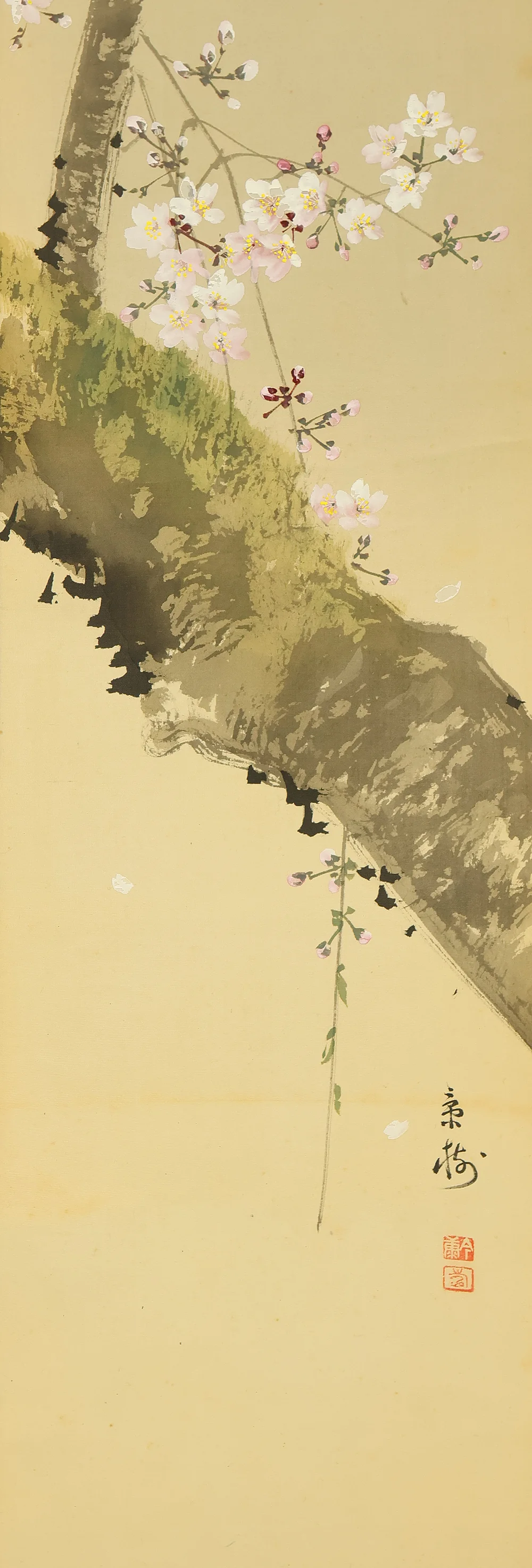 今井景樹 Imai Keiju (1891-1967) Japanese art kakejiku kakemono wall hanging scroll / Weeping Cherry Blossoms and Hazy Moon with Original Box (Tomobako) RE946 - Image 8