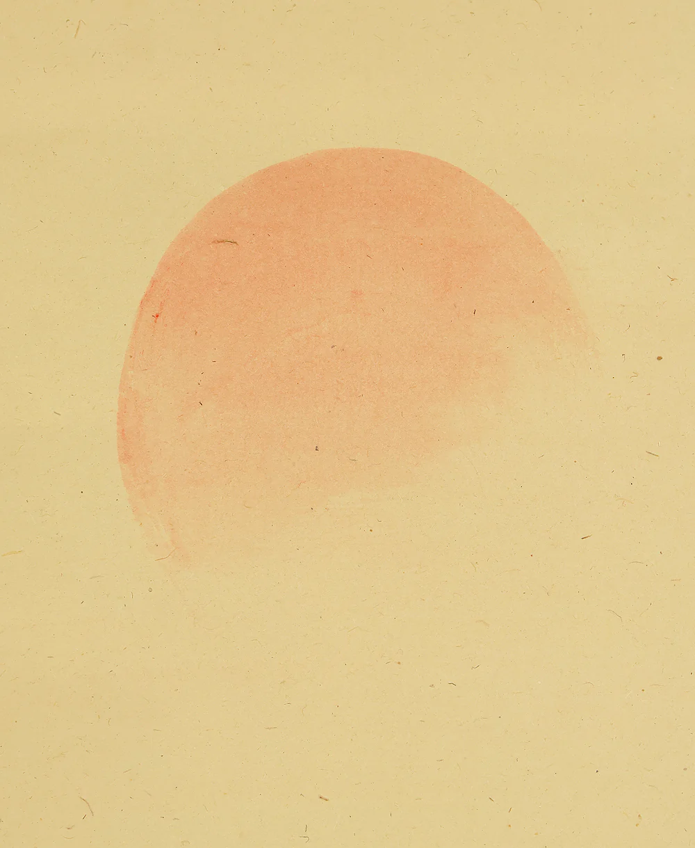 今尾景年 Imao Keinen (1845-1924) Japanese art kakejiku kakemono wall hanging scroll / Rising Sun and Pine Tree on Cliff with Original Double Box (Tomobako) RE667 - Image 5