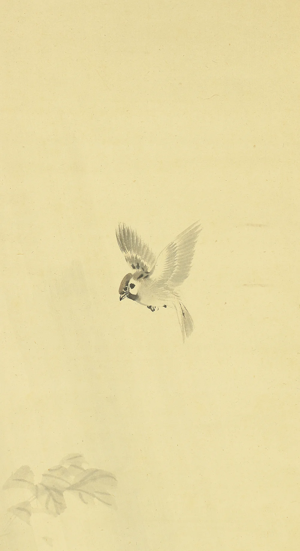 今尾景年 Imao Keinen (1845-1924) Japanese art kakejiku kakemono wall hanging scroll / Sparrow and Peony with Original Box (Tomobako) RA445 - Image 4