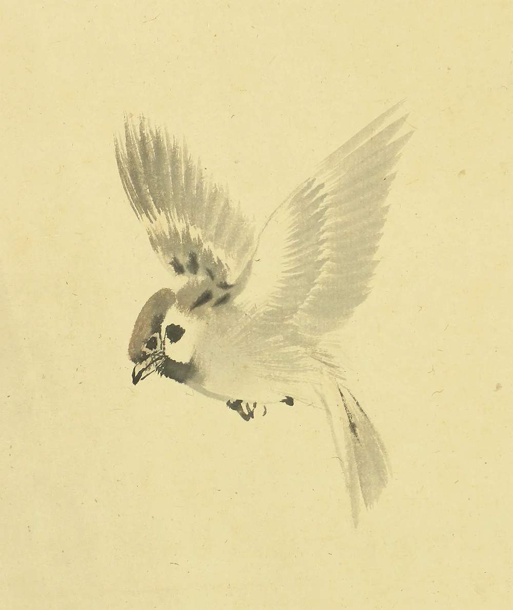 今尾景年 Imao Keinen (1845-1924) Japanese art kakejiku kakemono wall hanging scroll / Sparrow and Peony with Original Box (Tomobako) RA445 - Image 5