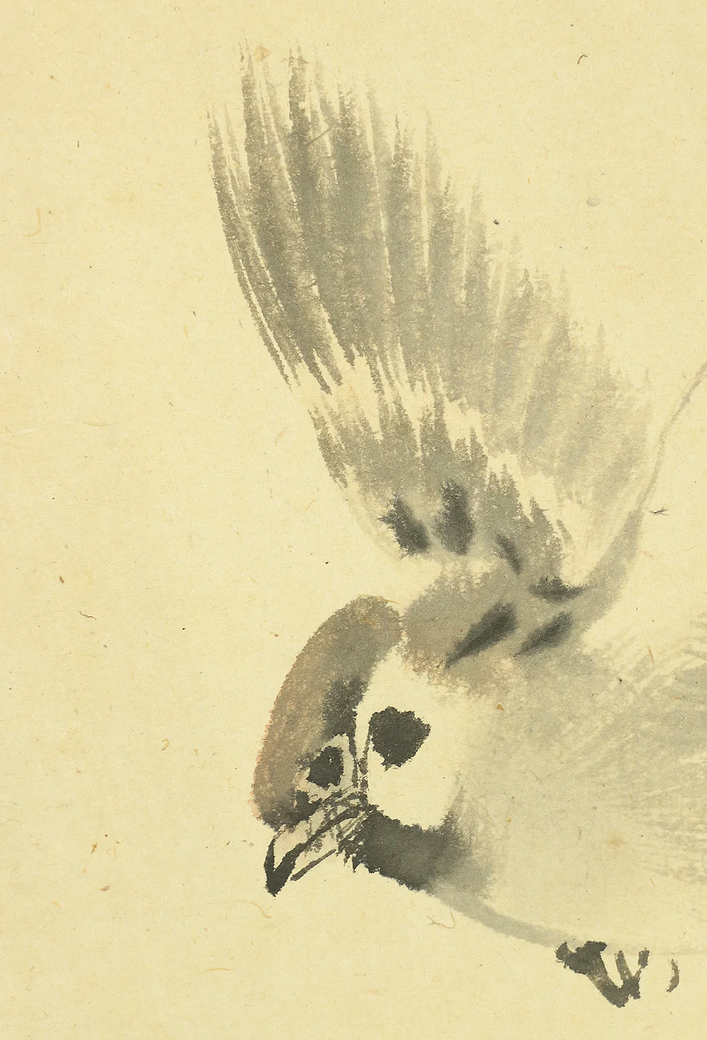 今尾景年 Imao Keinen (1845-1924) Japanese art kakejiku kakemono wall hanging scroll / Sparrow and Peony with Original Box (Tomobako) RA445 - Image 6