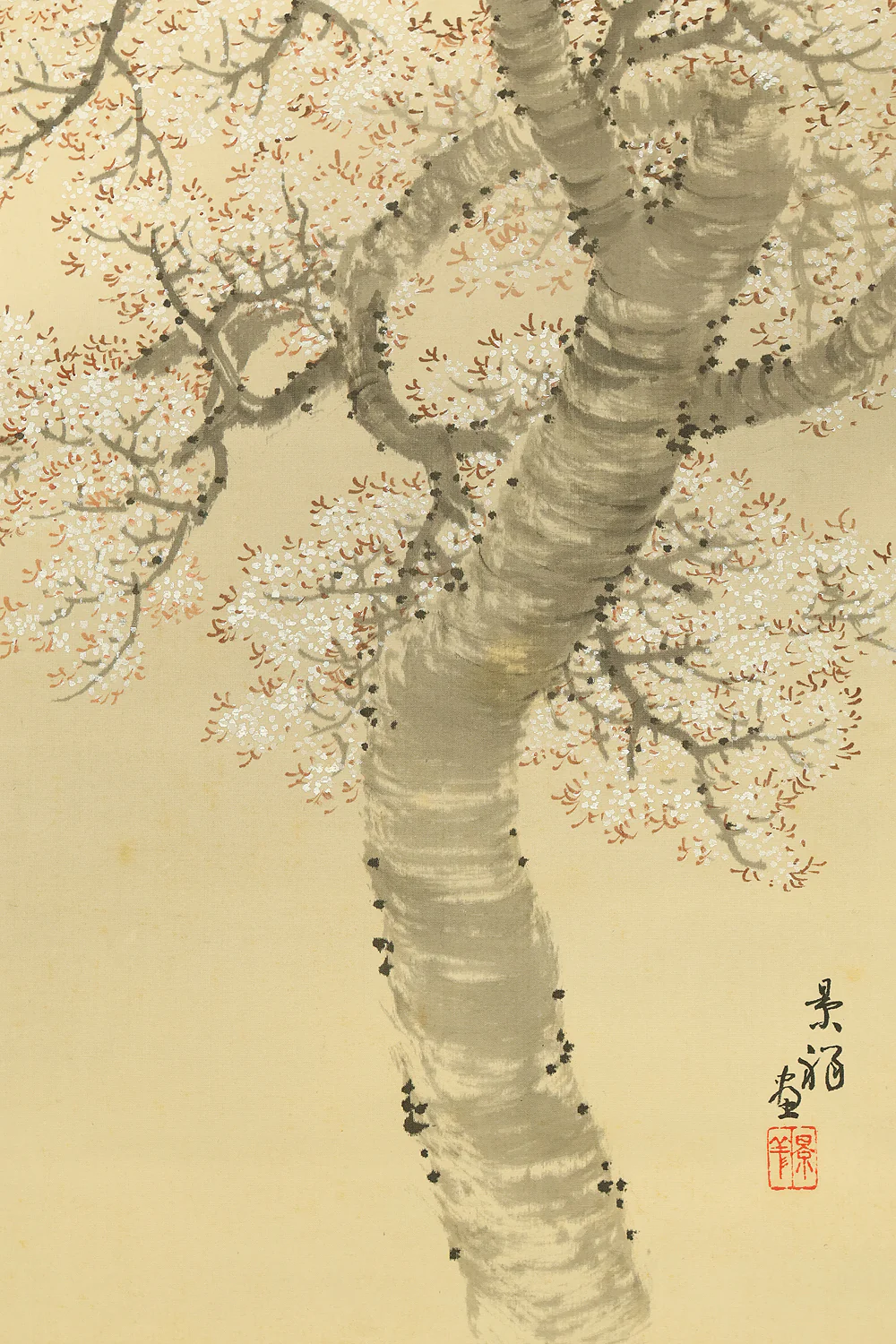 今尾景祥 Imao Keisho (1902-1993) Japanese art kakejiku kakemono wall hanging scroll / Hazy Moon and Cherry Blossoms at Night with Original Box (Tomobako) RE416 - Image 13