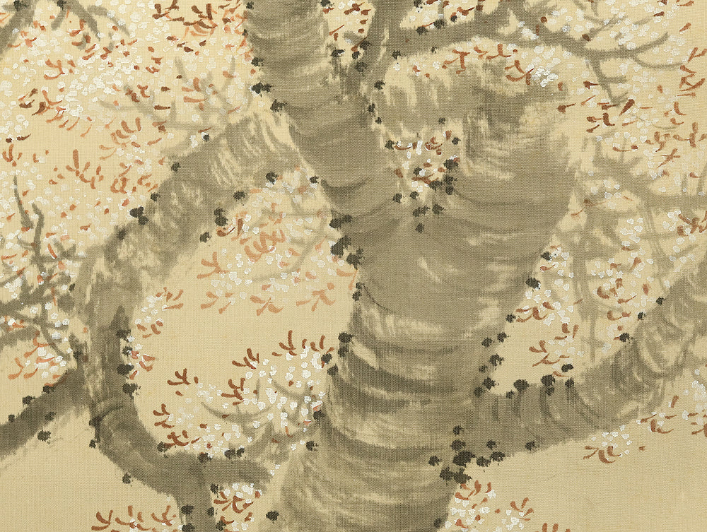 今尾景祥 Imao Keisho (1902-1993) Japanese art kakejiku kakemono wall hanging scroll / Hazy Moon and Cherry Blossoms at Night with Original Box (Tomobako) RE416 - Image 14