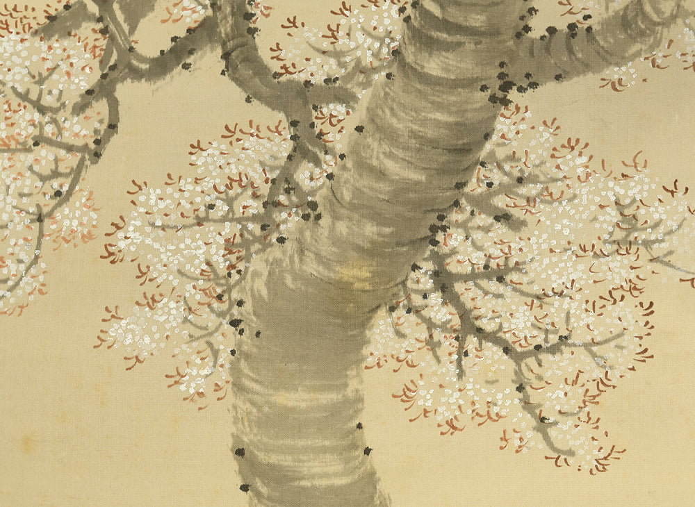今尾景祥 Imao Keisho (1902-1993) Japanese art kakejiku kakemono wall hanging scroll / Hazy Moon and Cherry Blossoms at Night with Original Box (Tomobako) RE416 - Image 15