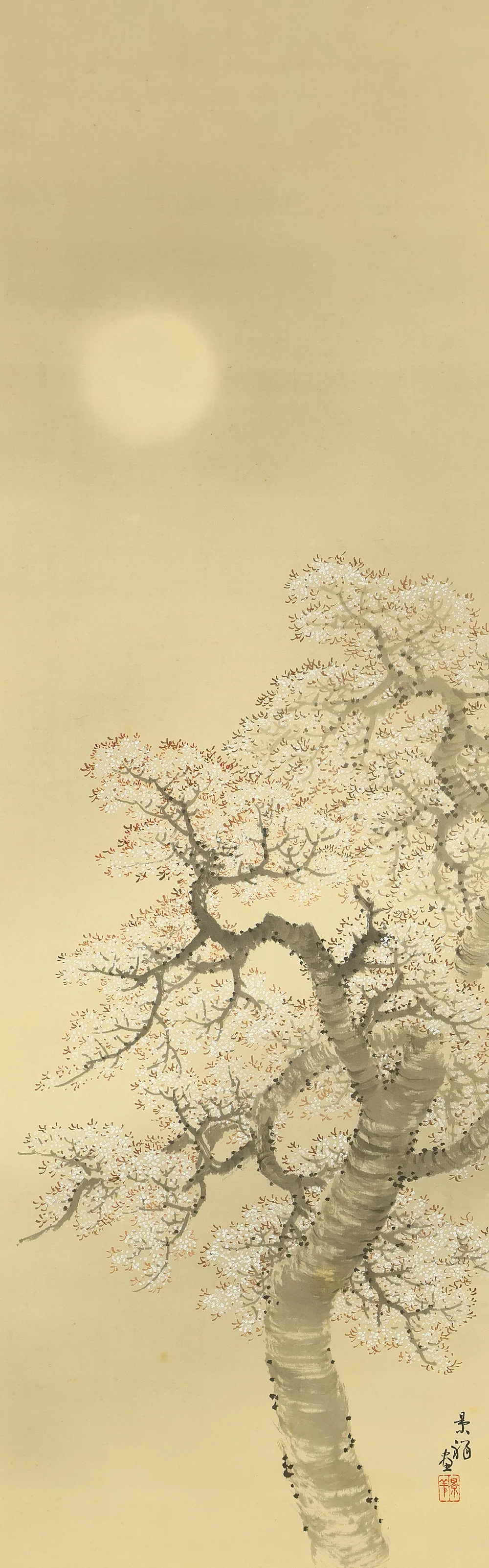 今尾景祥 Imao Keisho (1902-1993) Japanese art kakejiku kakemono wall hanging scroll / Hazy Moon and Cherry Blossoms at Night with Original Box (Tomobako) RE416 - Image 4