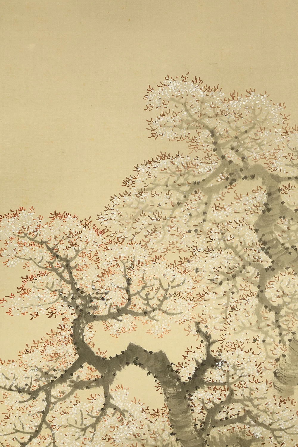 今尾景祥 Imao Keisho (1902-1993) Japanese art kakejiku kakemono wall hanging scroll / Hazy Moon and Cherry Blossoms at Night with Original Box (Tomobako) RE416 - Image 6