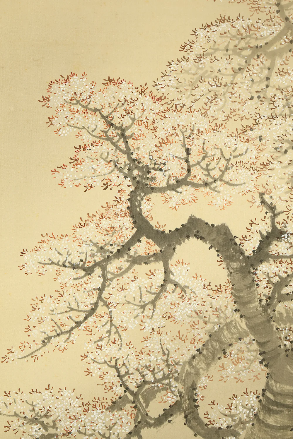 今尾景祥 Imao Keisho (1902-1993) Japanese art kakejiku kakemono wall hanging scroll / Hazy Moon and Cherry Blossoms at Night with Original Box (Tomobako) RE416 - Image 9