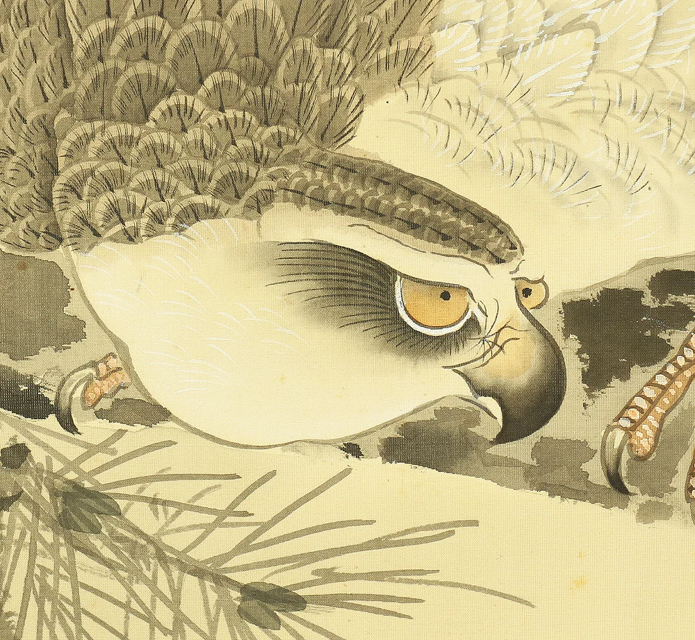 石原玉関 Ishihara Gyokkan (1882-1950) Japanese antique art kakejiku kakemono wall hanging scroll / Pine Tree and Hawk with Original Box (Tomobako) RB492 - Image 8