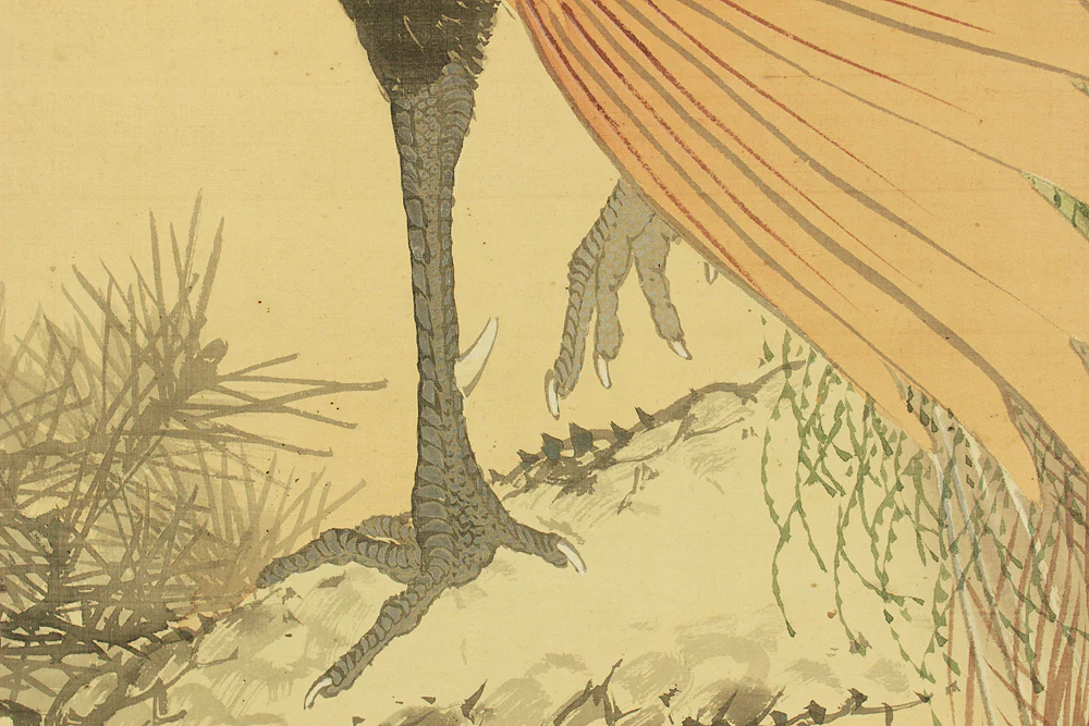 伊藤渓水 Ito Keisui (1879-1967) Japanese art kakejiku kakemono wall hanging scroll / Peafowl Perching on Old Pine Tree with Box RD568 - Image 13