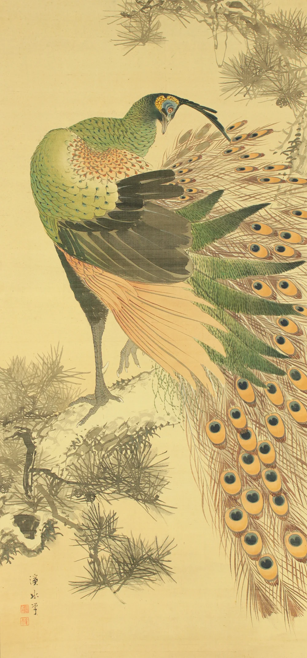 伊藤渓水 Ito Keisui (1879-1967) Japanese art kakejiku kakemono wall hanging scroll / Peafowl Perching on Old Pine Tree with Box RD568 - Image 4