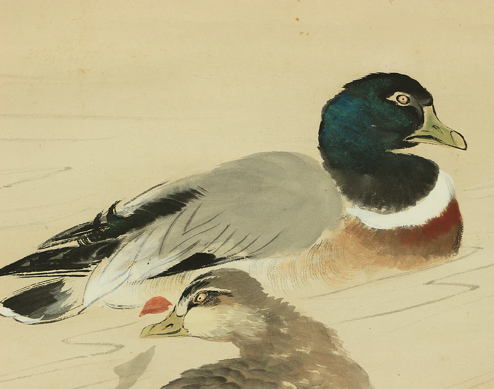 伊藤渓水 Ito Keisui (1879-1967) Japanese art kakejiku kakemono wall hanging scroll / Winter Landscape Two Ducks with Orignal Box (Tomobako) RA888 - Image 9