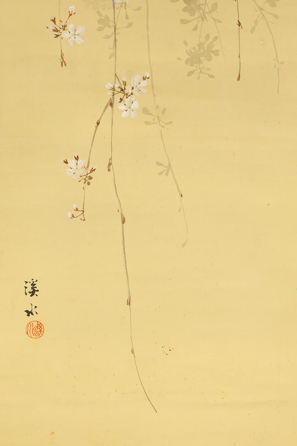 伊藤渓水 Ito Keisui (1879-1967) Japanese art paired kakejiku kakemono wall hanging scrolls / Spring Crescent Moon, Weeping Cherry Blossoms, Autumn Full Moon, and Bell Cricket Perched on Silver Grass with Box RE585 - Image 12