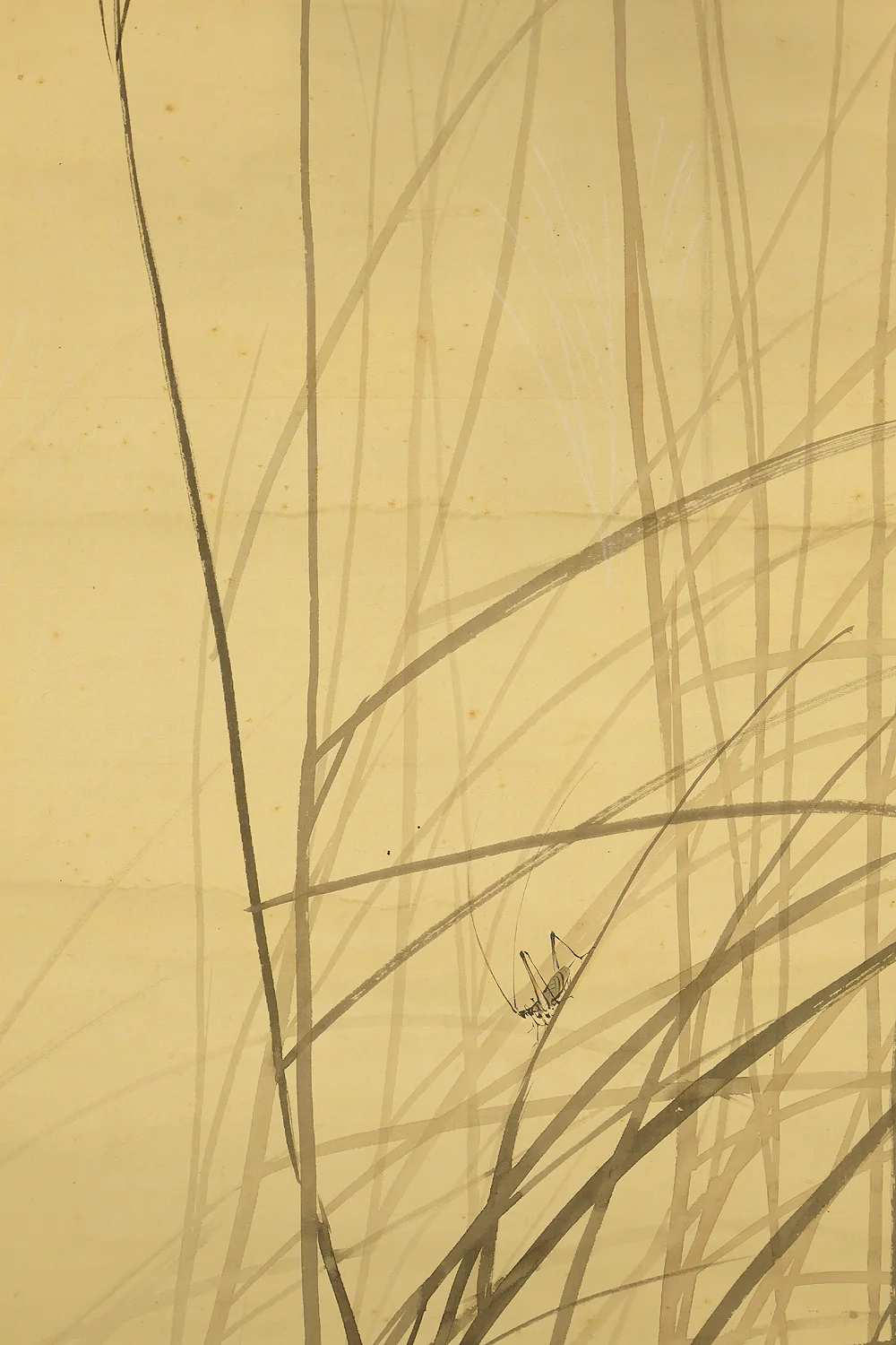 伊藤渓水 Ito Keisui (1879-1967) Japanese art paired kakejiku kakemono wall hanging scrolls / Spring Crescent Moon, Weeping Cherry Blossoms, Autumn Full Moon, and Bell Cricket Perched on Silver Grass with Box RE585 - Image 22