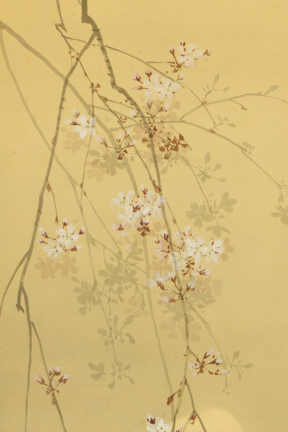 伊藤渓水 Ito Keisui (1879-1967) Japanese art paired kakejiku kakemono wall hanging scrolls / Spring Crescent Moon, Weeping Cherry Blossoms, Autumn Full Moon, and Bell Cricket Perched on Silver Grass with Box RE585 - Image 5