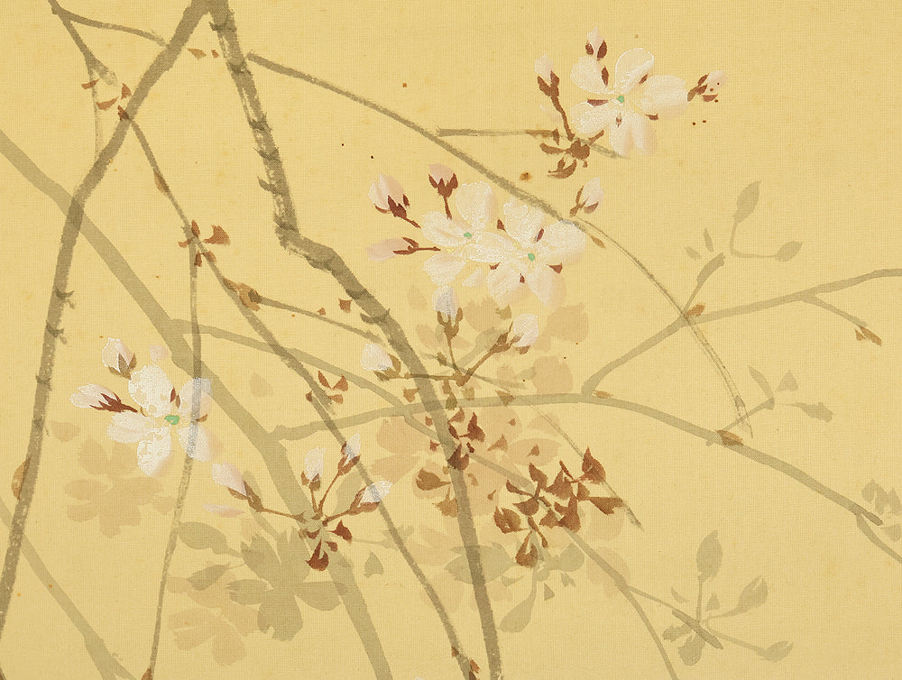 伊藤渓水 Ito Keisui (1879-1967) Japanese art paired kakejiku kakemono wall hanging scrolls / Spring Crescent Moon, Weeping Cherry Blossoms, Autumn Full Moon, and Bell Cricket Perched on Silver Grass with Box RE585 - Image 6