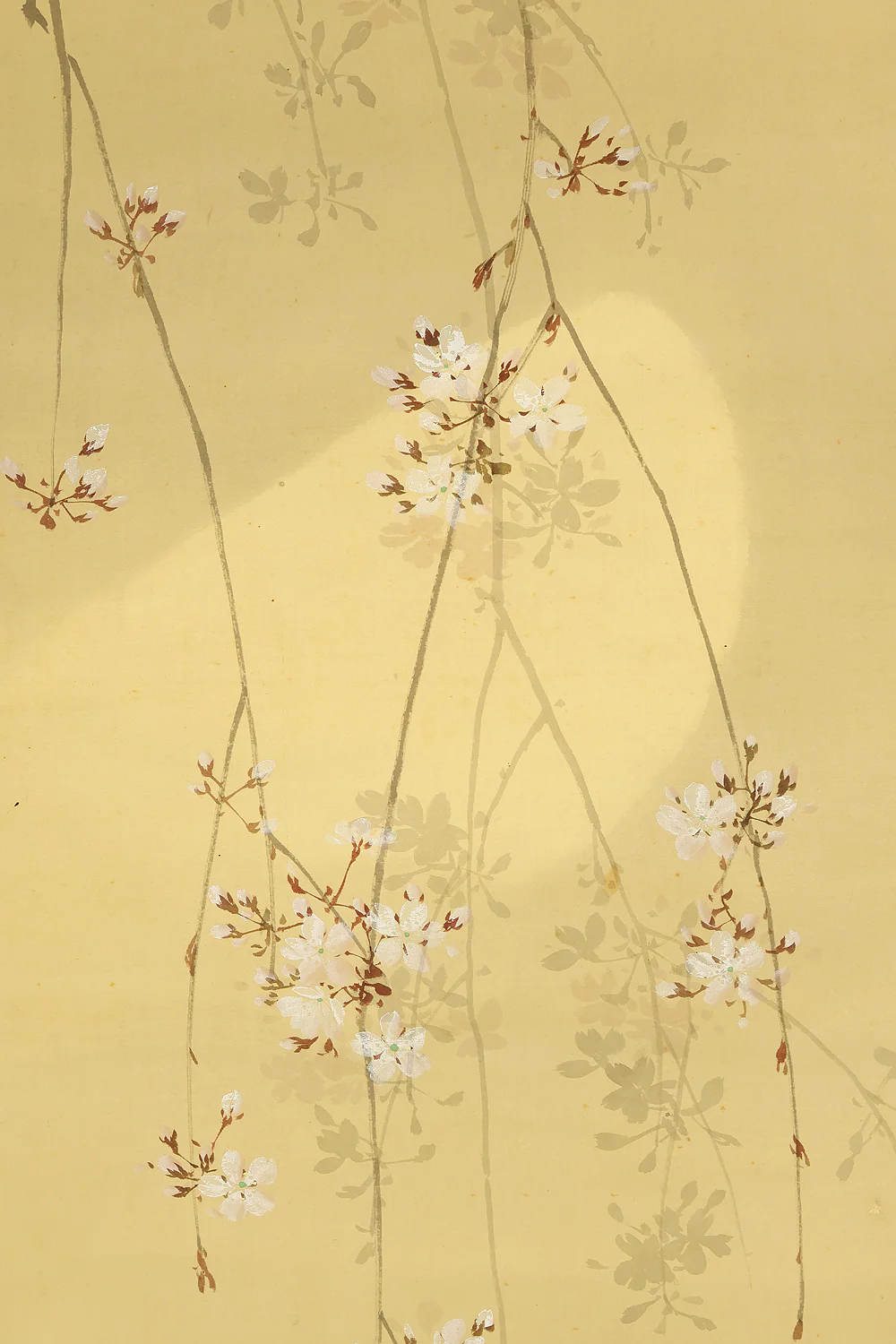 伊藤渓水 Ito Keisui (1879-1967) Japanese art paired kakejiku kakemono wall hanging scrolls / Spring Crescent Moon, Weeping Cherry Blossoms, Autumn Full Moon, and Bell Cricket Perched on Silver Grass with Box RE585 - Image 8