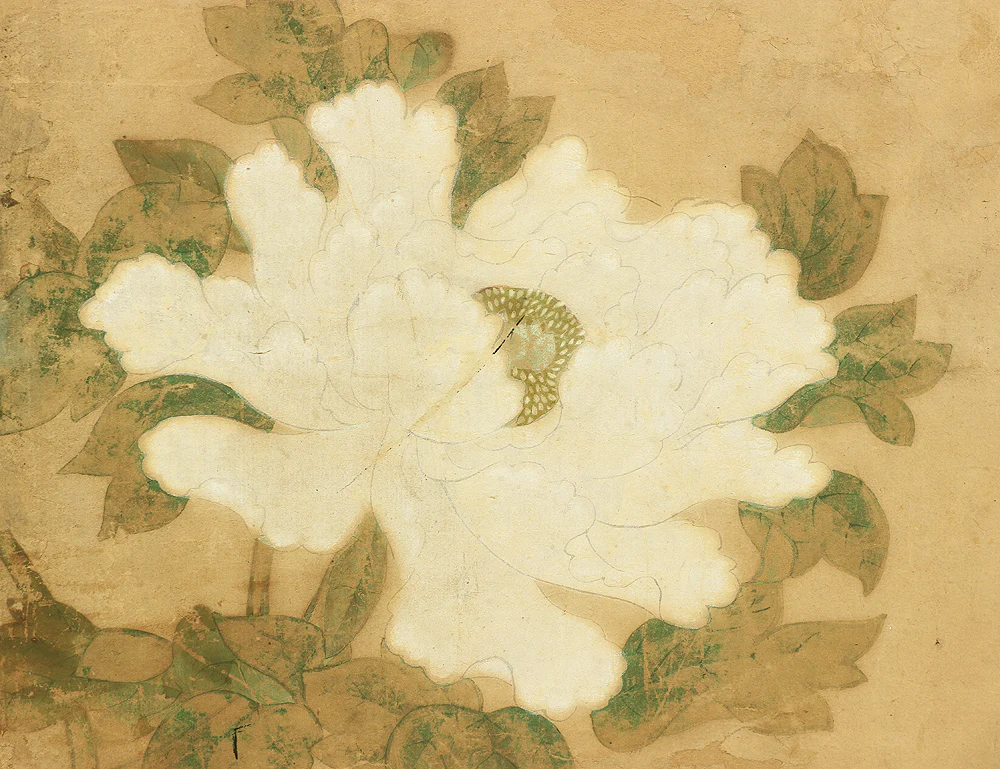 伊徳栄茂 Itoku Eimo Byobu Folding Screen Room divider Two panels / 'Cherry Blossoms, Peony, and Birds' VA352 - Image 10
