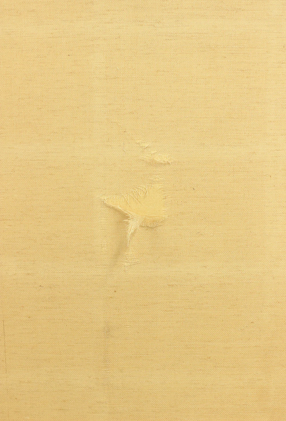 伊徳栄茂 Itoku Eimo Byobu Folding Screen Room divider Two panels / 'Cherry Blossoms, Peony, and Birds' VA352 - Image 34