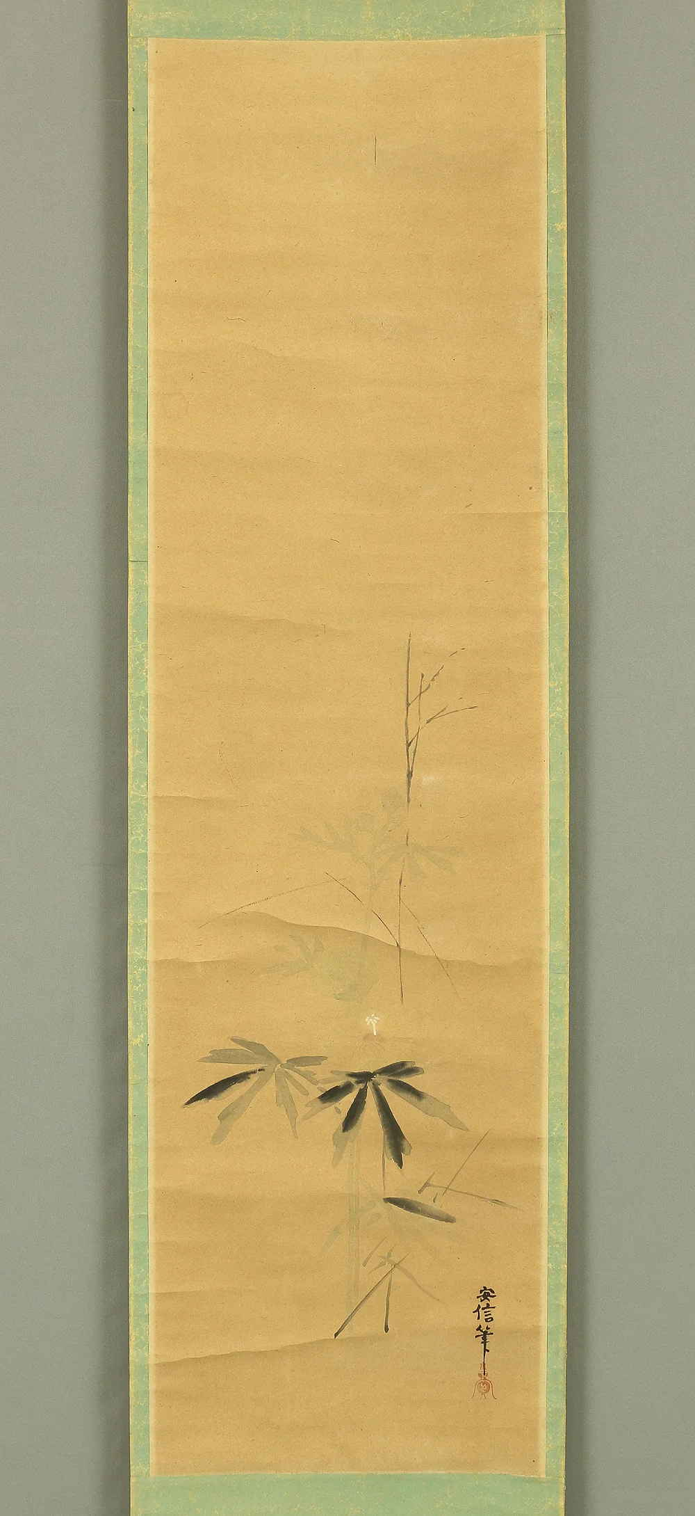 狩野安信 KANO YASUNOBU Japanese antique art kakejiku kakemono wall hanging scroll / Flower plant W247 - Image 3