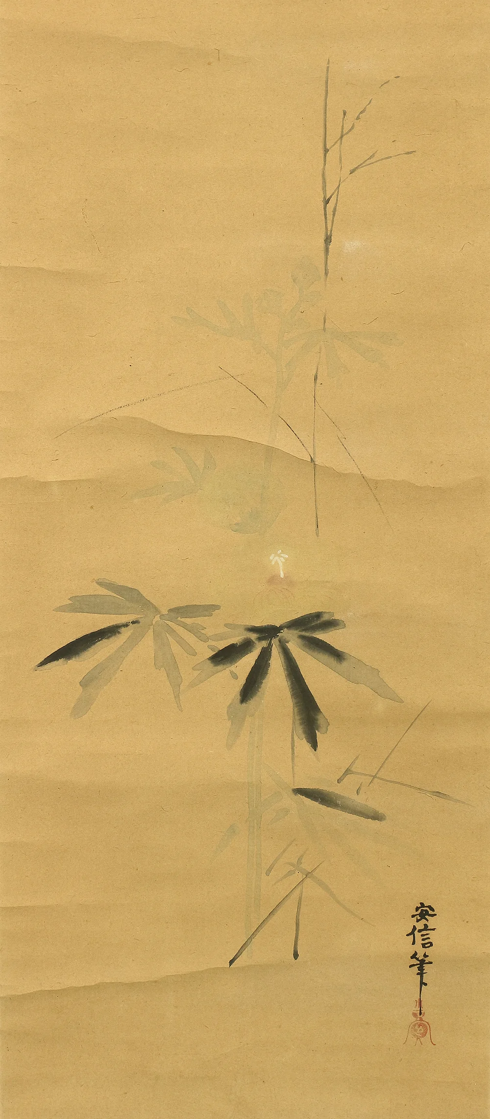 狩野安信 KANO YASUNOBU Japanese antique art kakejiku kakemono wall hanging scroll / Flower plant W247 - Image 5