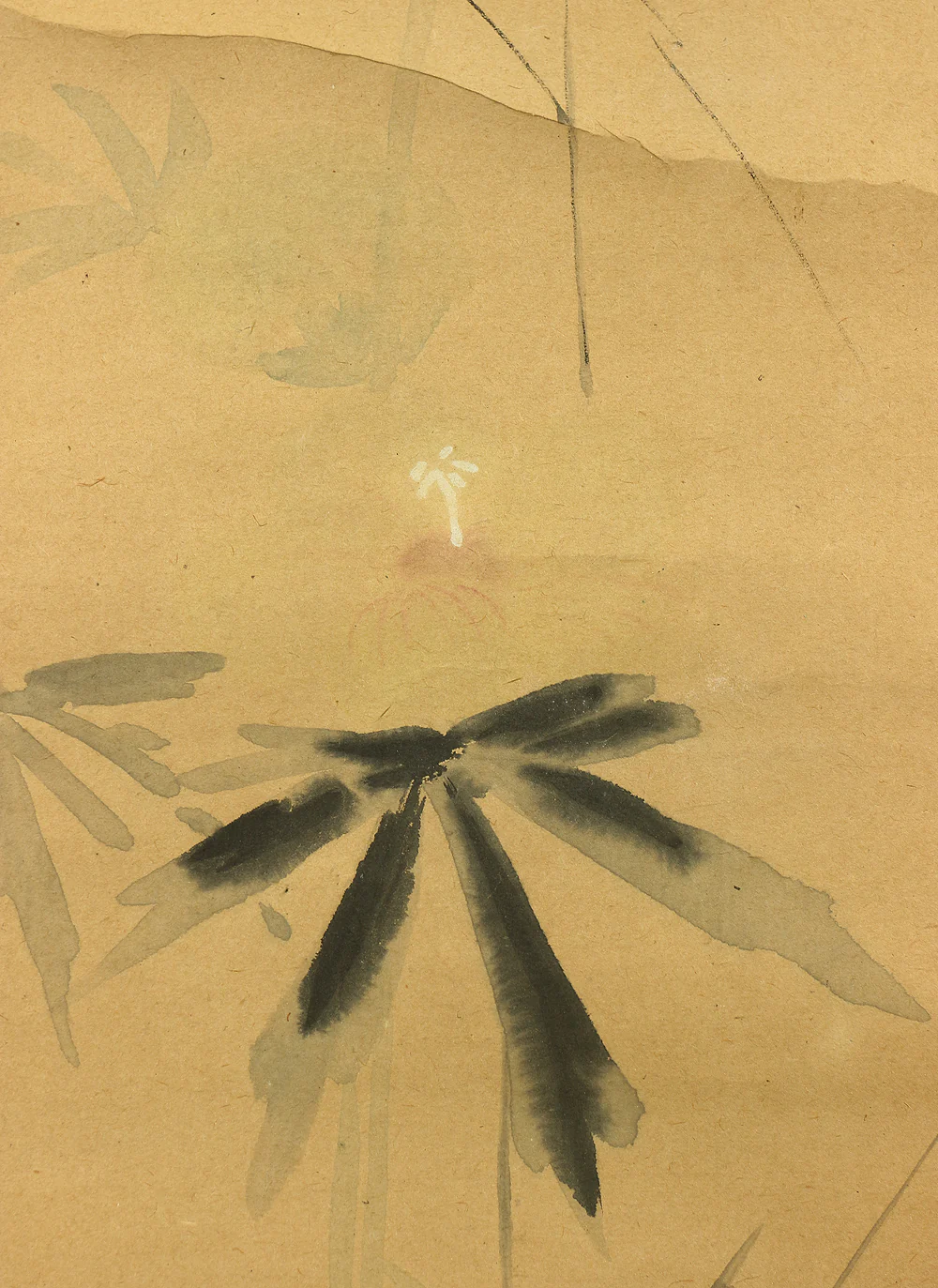 狩野安信 KANO YASUNOBU Japanese antique art kakejiku kakemono wall hanging scroll / Flower plant W247 - Image 6