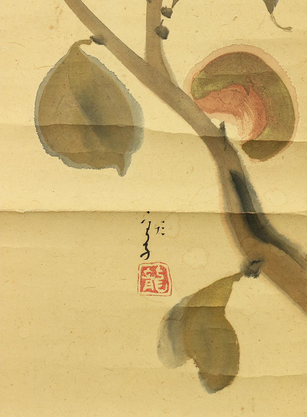 川端龍子 Kawabata Ryushi Japanese art kakejiku kakemono wall hanging scroll / Bird & Persimmon with Original Box (Tomobako) A200 - Image 11