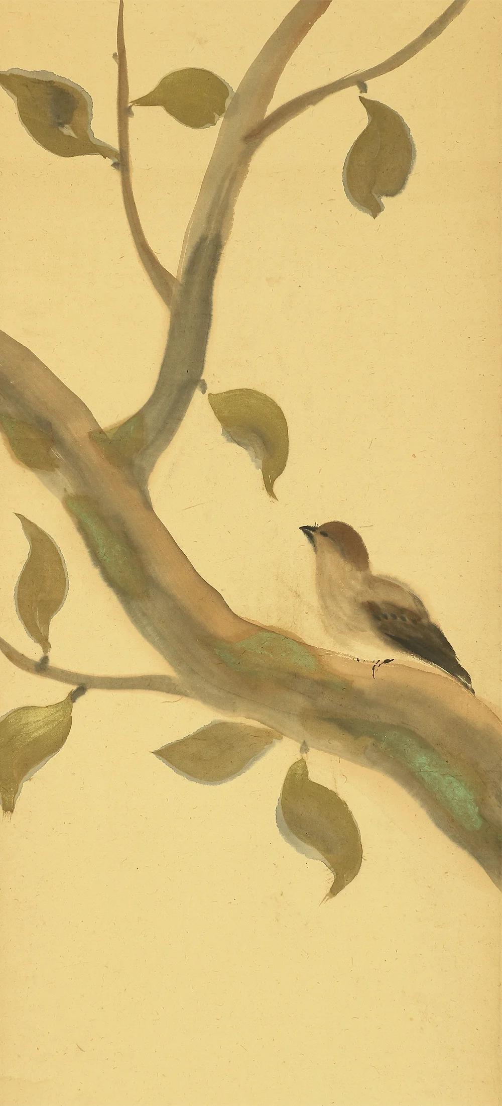 川端龍子 Kawabata Ryushi Japanese art kakejiku kakemono wall hanging scroll / Bird & Persimmon with Original Box (Tomobako) A200 - Image 4