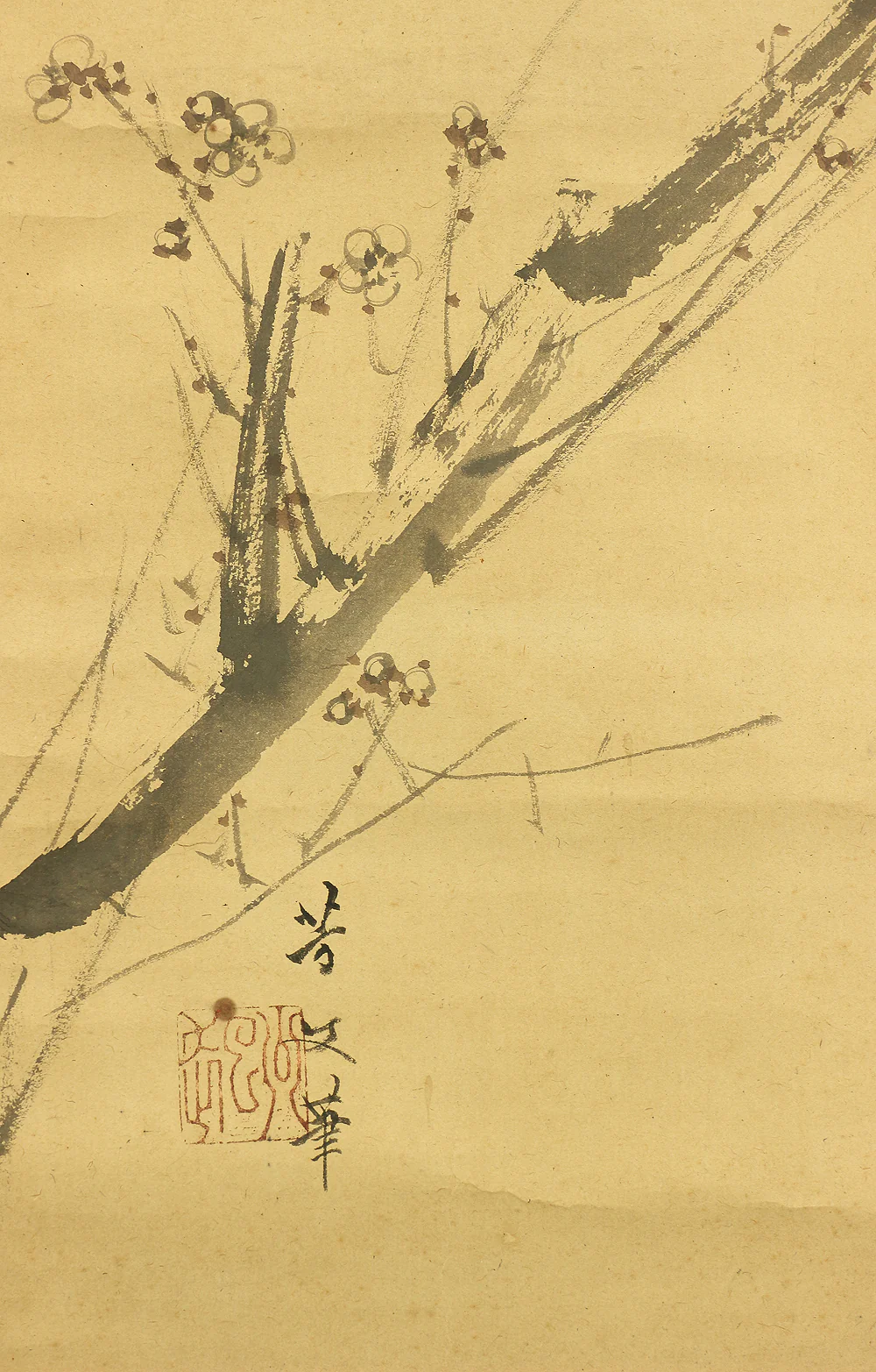 菊池芳文 Kikuchi Hobun (1862-1918) Japanese art kakejiku kakemono wall hanging scroll / White Plum Tree and Bush Warbler with Box RC585 - Image 10