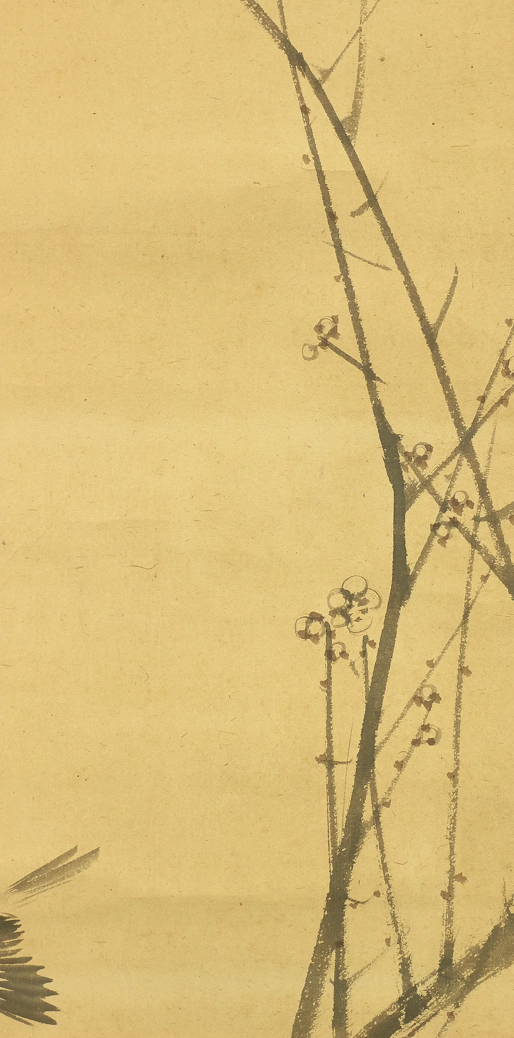 菊池芳文 Kikuchi Hobun (1862-1918) Japanese art kakejiku kakemono wall hanging scroll / White Plum Tree and Bush Warbler with Box RC585 - Image 6