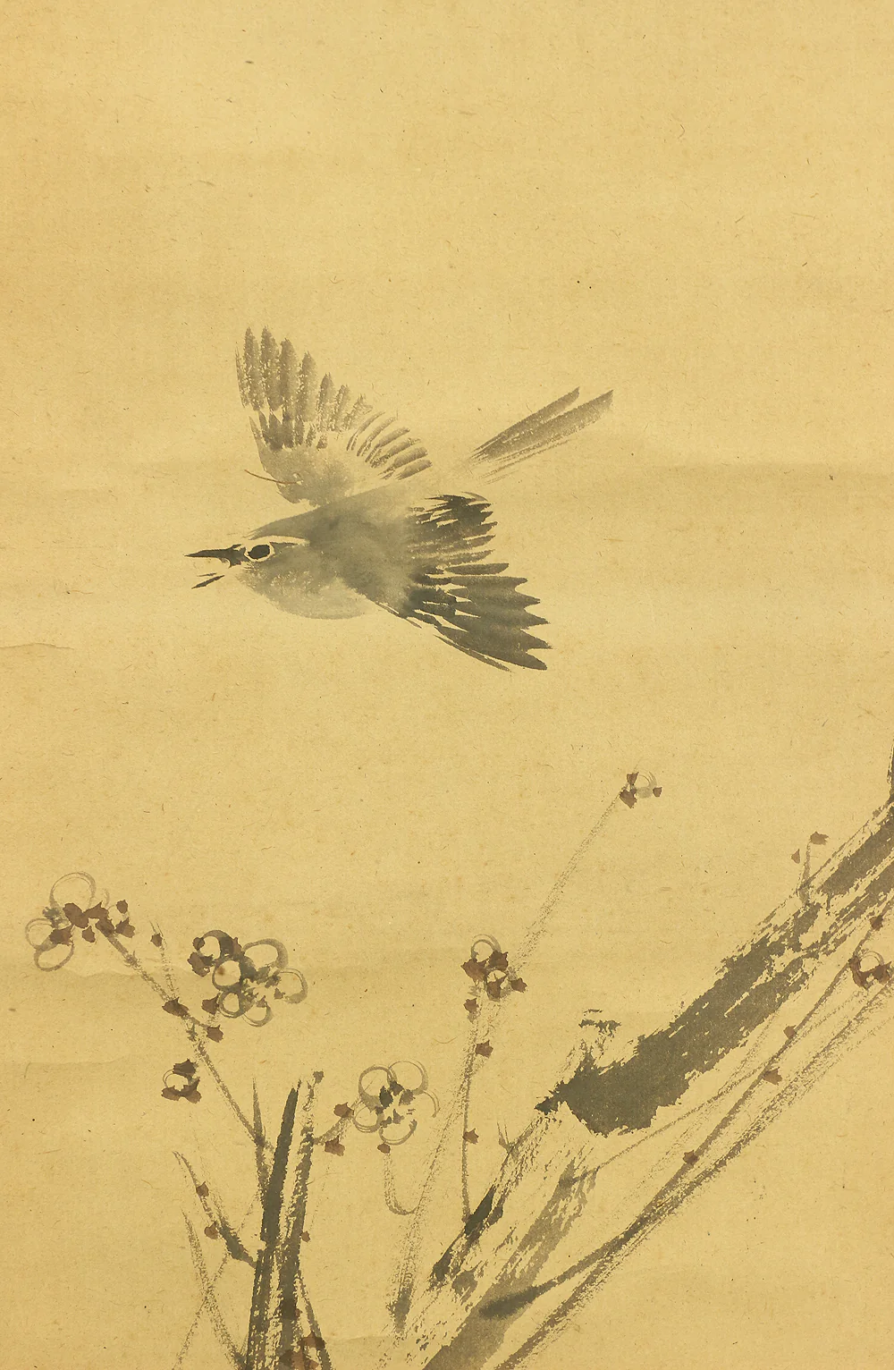 菊池芳文 Kikuchi Hobun (1862-1918) Japanese art kakejiku kakemono wall hanging scroll / White Plum Tree and Bush Warbler with Box RC585 - Image 8