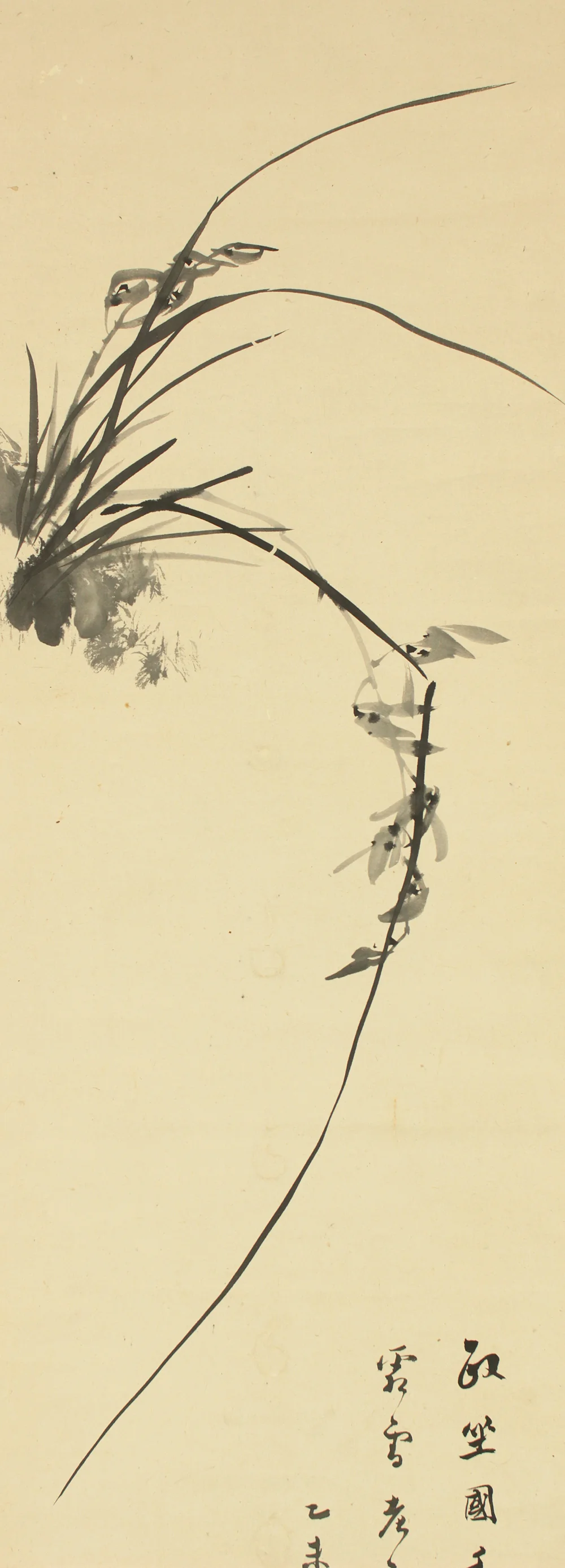 木下逸雲 Kinoshita Itsuun (1800-1866) Japanese art kakejiku kakemono wall hanging scroll / Ink Painting of Orchid with Certificate, White Satin Bag, Box RC905 - Image 4