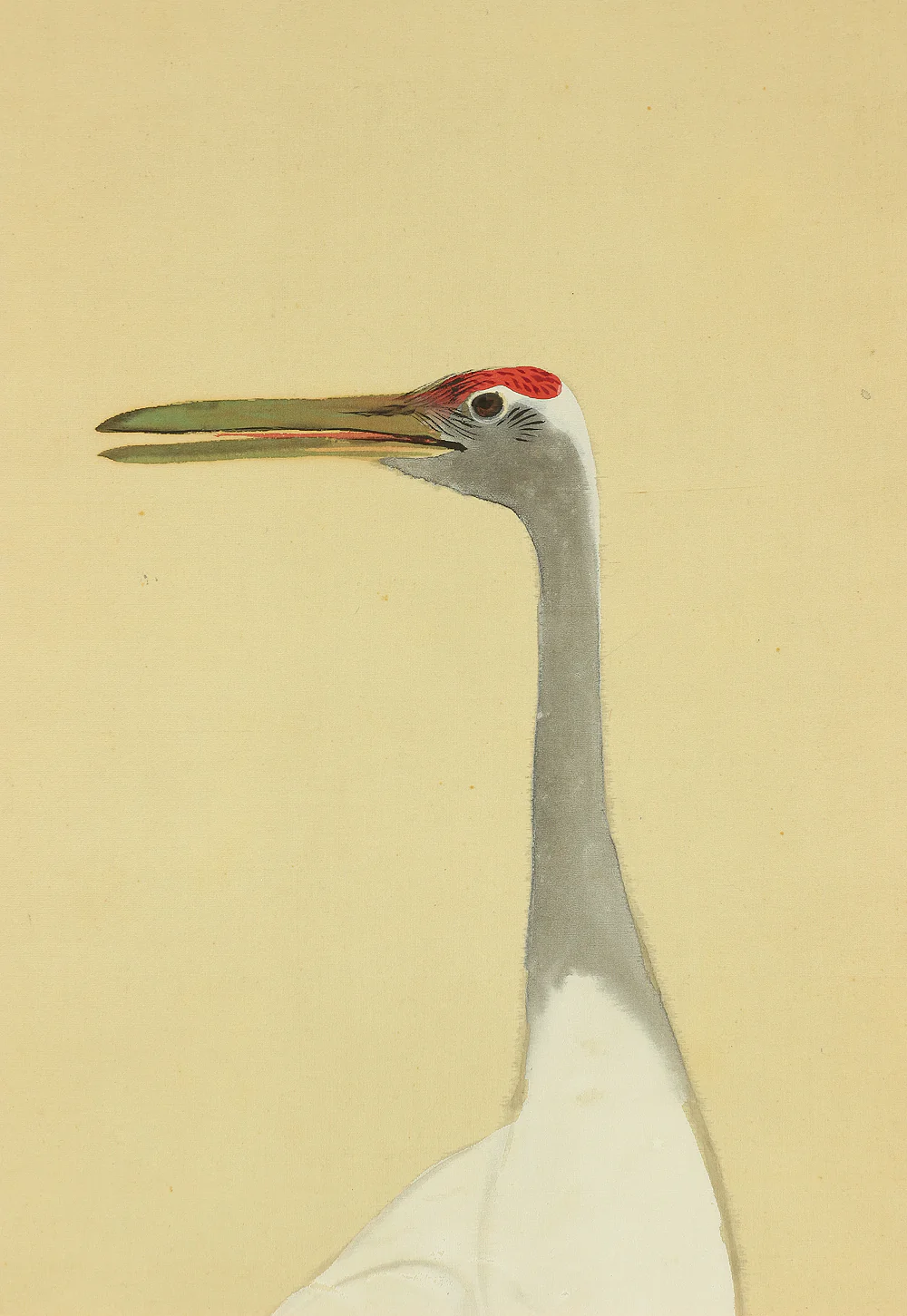 小林呉橋 Kobayashi Gokyo (1872-1928) Japanese art kakejiku kakemono wall hanging scroll / Twin Cranes with Original Box (Tomobako) RC184 - Image 5